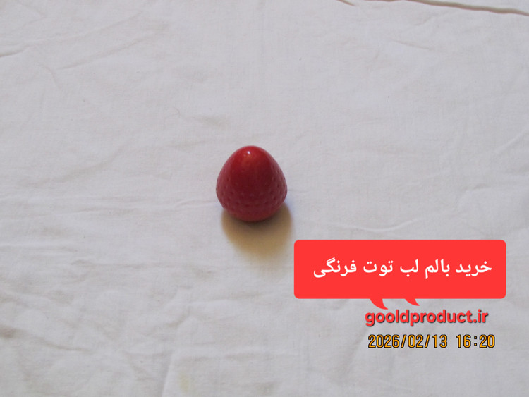 بالم لب زیبا و خوش رنگ