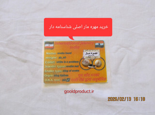 مهره مار اصل با شناسنامه معتبر ،مهره مار، مهره مار دابویا جنگلی، مهره مار شناسنامه دار، مهره مار