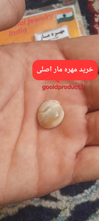 مهره در کف دست