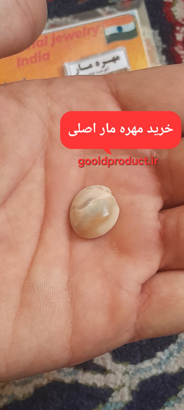 مهره در کف دست
