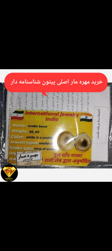 python-snake-charm-authentic-certificate
