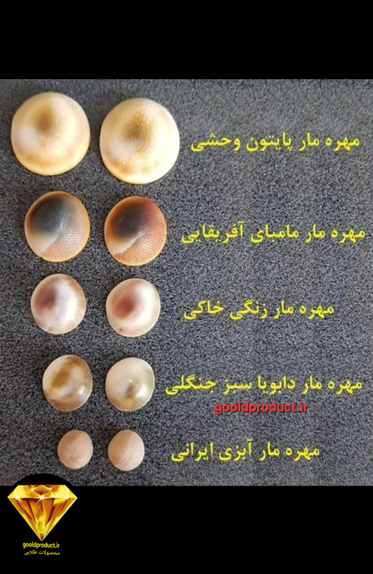 انواع عکسام مهره های مار ،انواع متفاوت مهره های مار